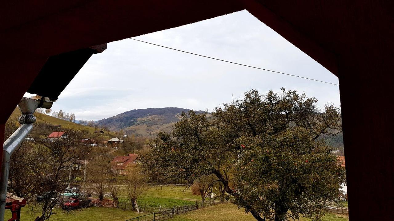 Vila Casa Dorina Bran  Exteriér fotografie